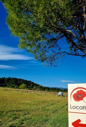 Gites Chambres Dhotes Vaucluse 84 Retrouvailles en pleine nature provençale 
