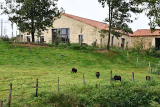 Gites Chambres Dhotes Vendée 85 Grand gîte au coeur de la campagne vendéenne