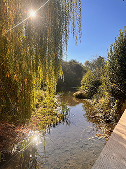 Gites Chambres Dhotes Vienne 86 Moulin du 17ème siècle pour votre évènement